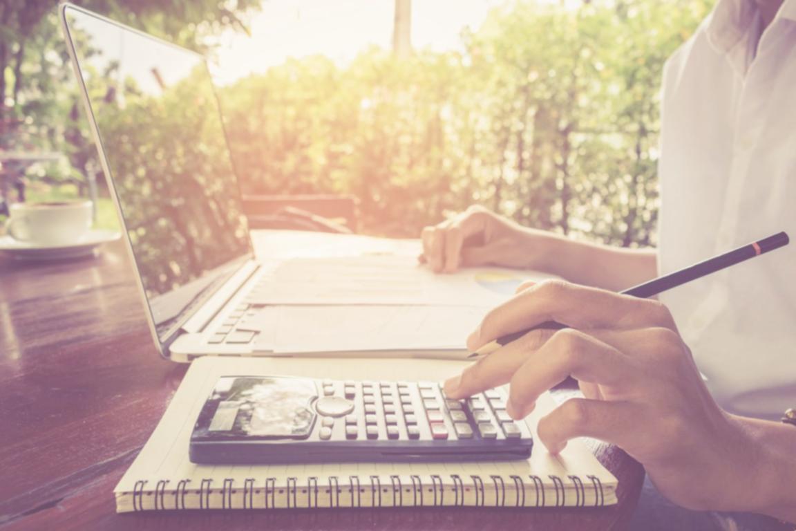 Literature Club workspace with organized bookshelves and comfortable seating areas for team collaboration